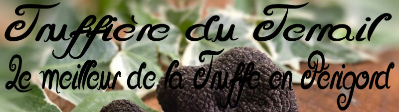 Truffière des Mérigots le meilleur de la truffe du périgord noir